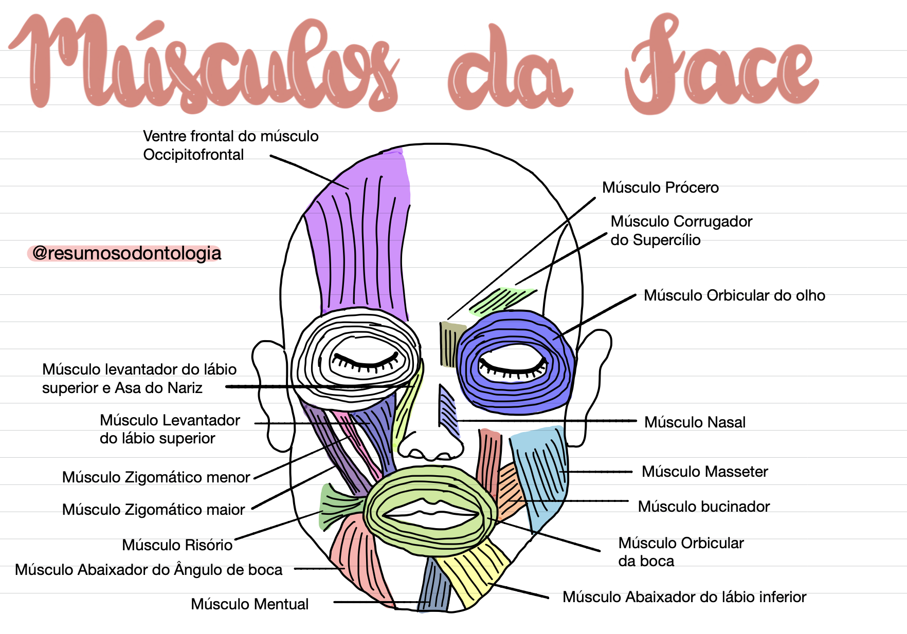 Captura de Tela 2569-01-06 às 16.36.15