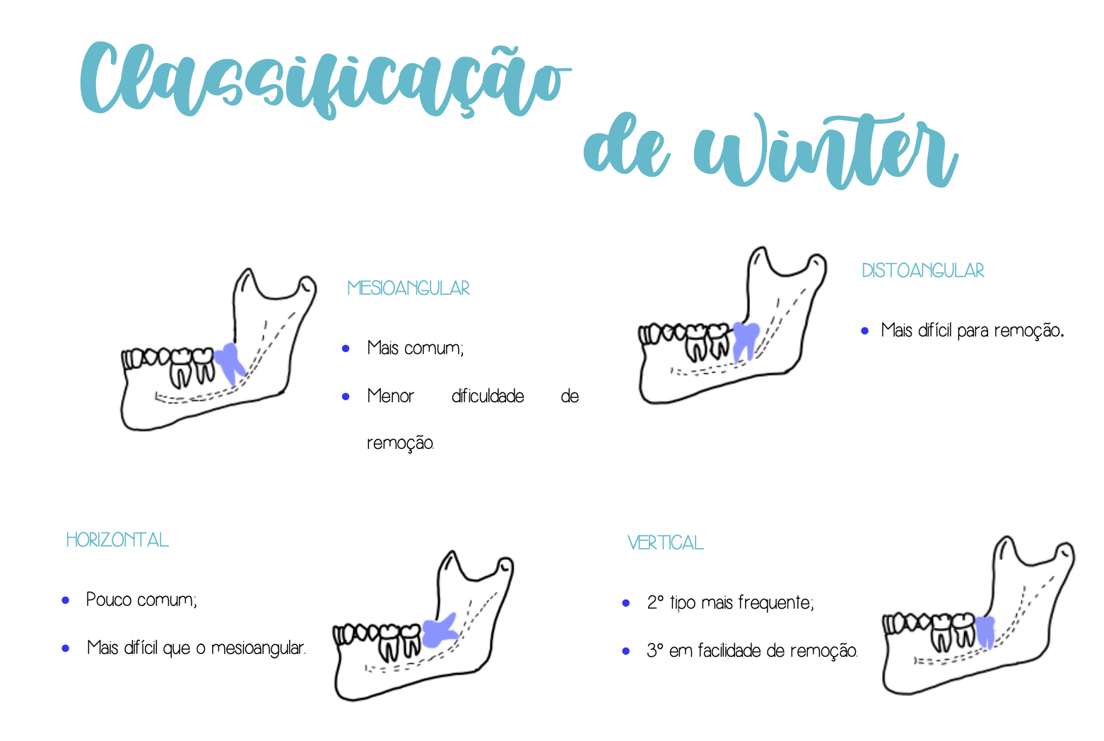 Captura de Tela 2569-01-06 às 16.37.18