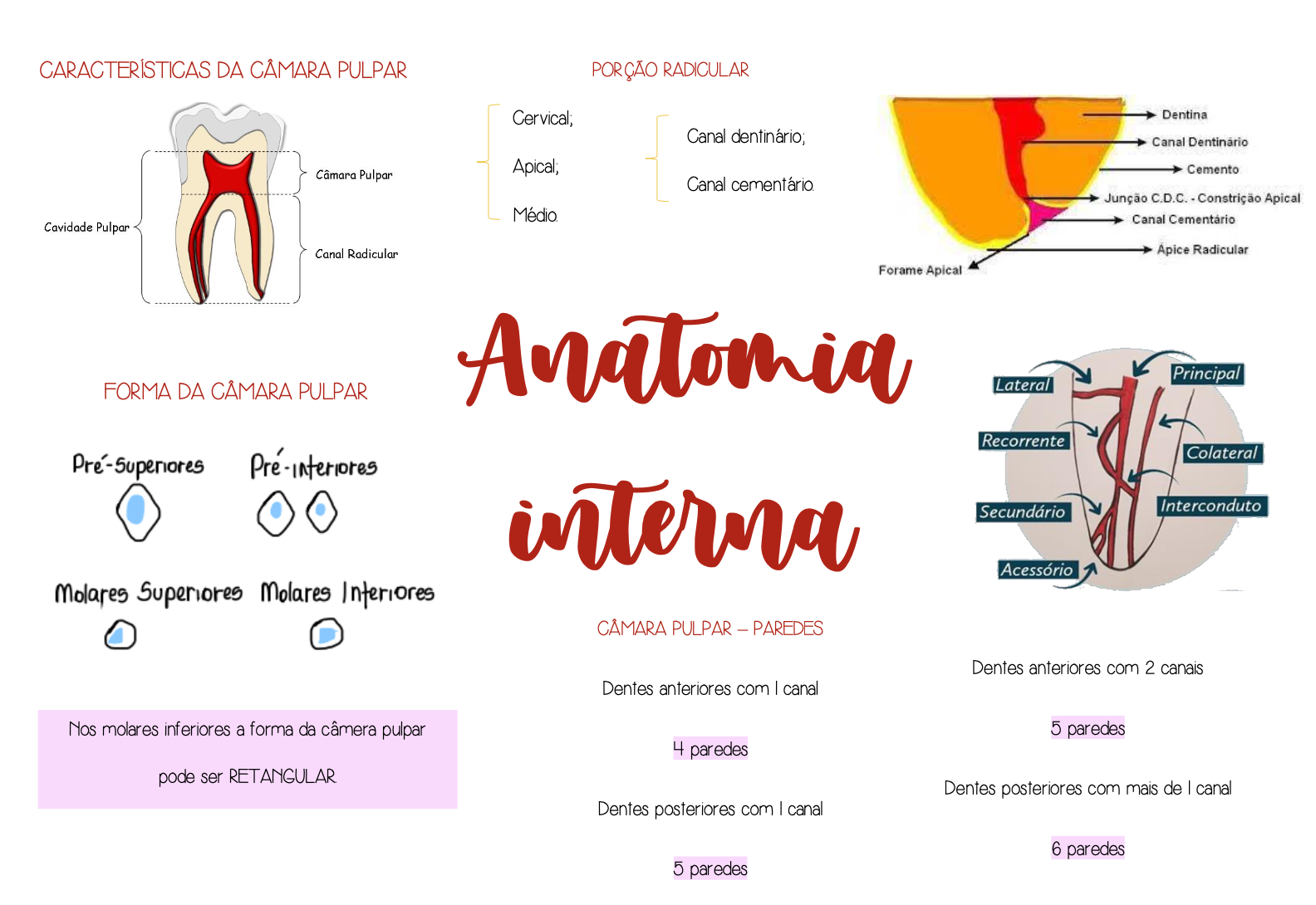Captura de Tela 2569-01-06 às 16.37.52